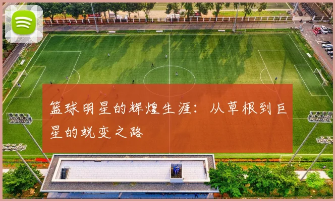 篮球明星的辉煌生涯:从草根到巨星的蜕变之路